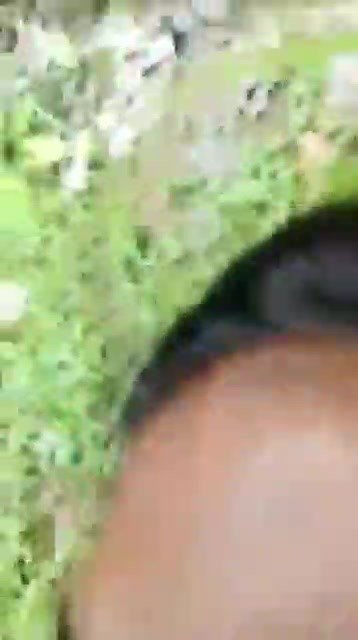 1244125905_DesiGirlFuckedInJungle.mp4_0011.jpg.8347caf0587491e1a596d3798e9375ab.jpg