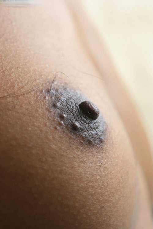 161198356.jpg