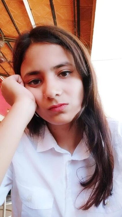 246_picsh.jpg