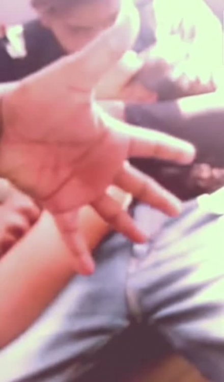 576710.jpg