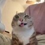 aggressivepumper